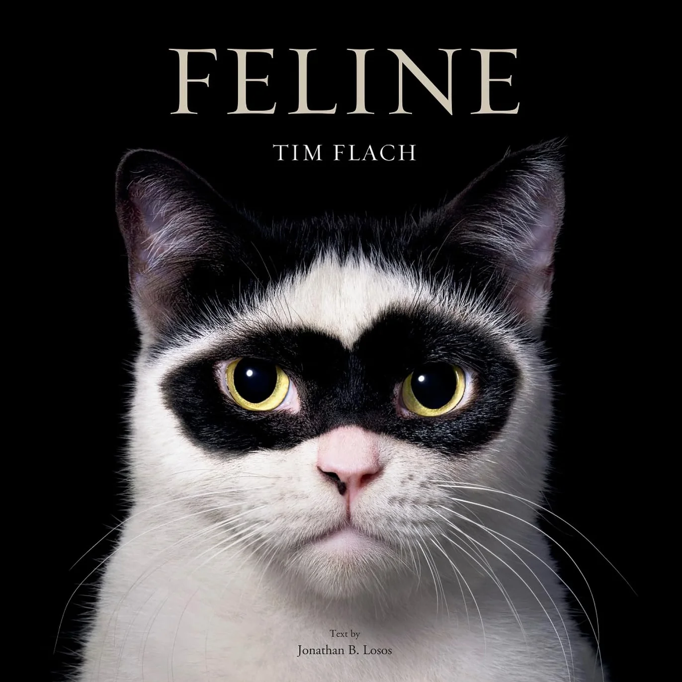 Feline: Photographs