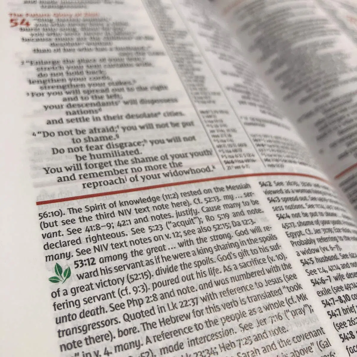 BIB NIV Study Bible: New International Version, Study Bible, Large Print