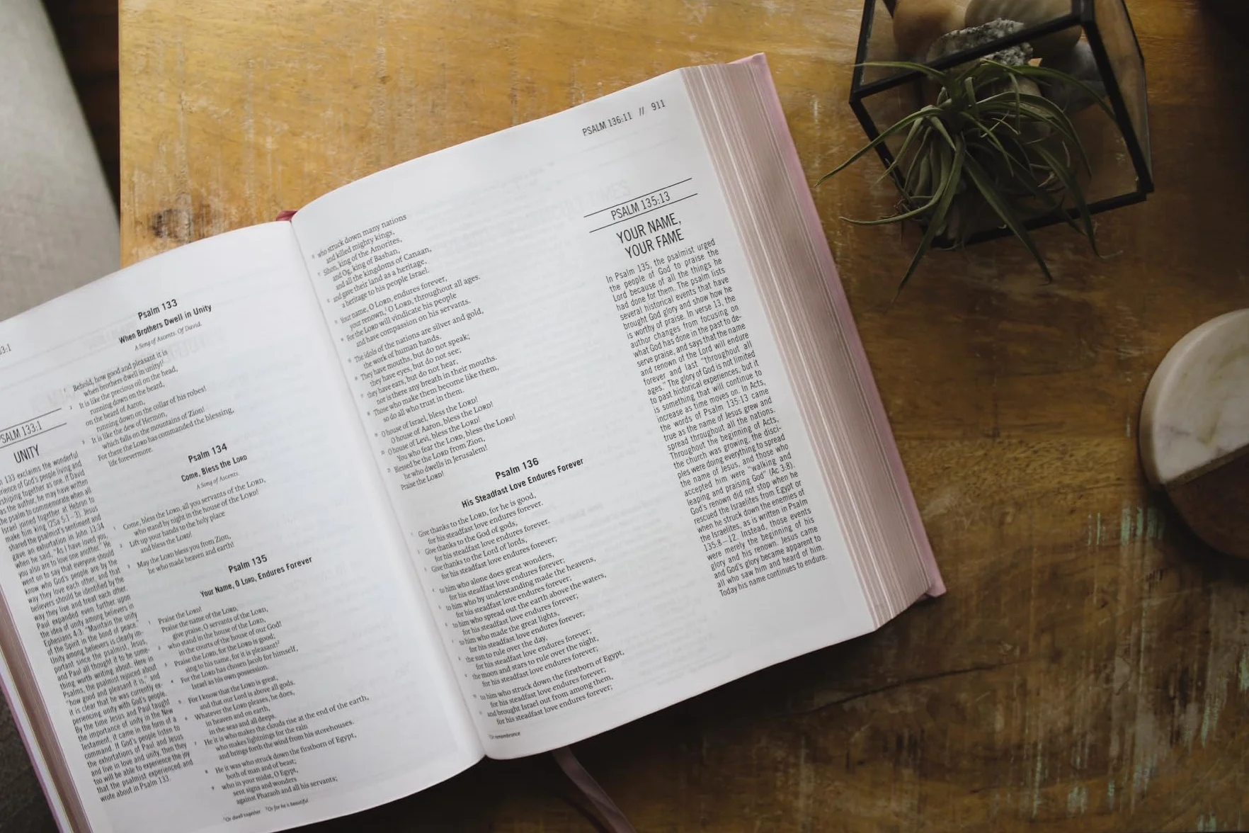 The Jesus Bible: Esv Edition, Leathersoft over Board, Pink