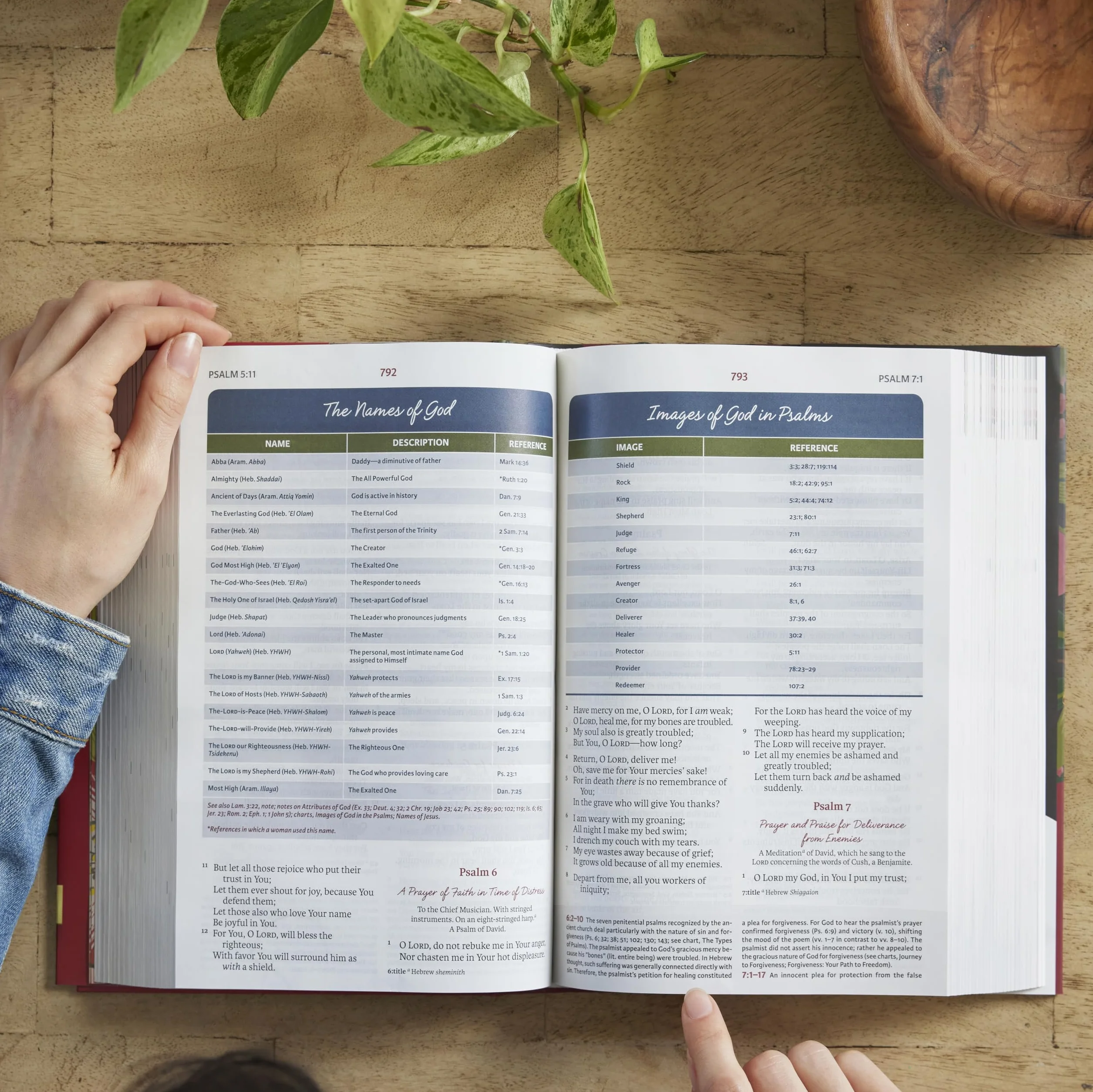 NKJV, The Woman's Study Bible, Cloth over Board, Pink Floral, Red Letter, Full-Color Edition: Receiving God's Truth for Balance, Hope, and Transformation