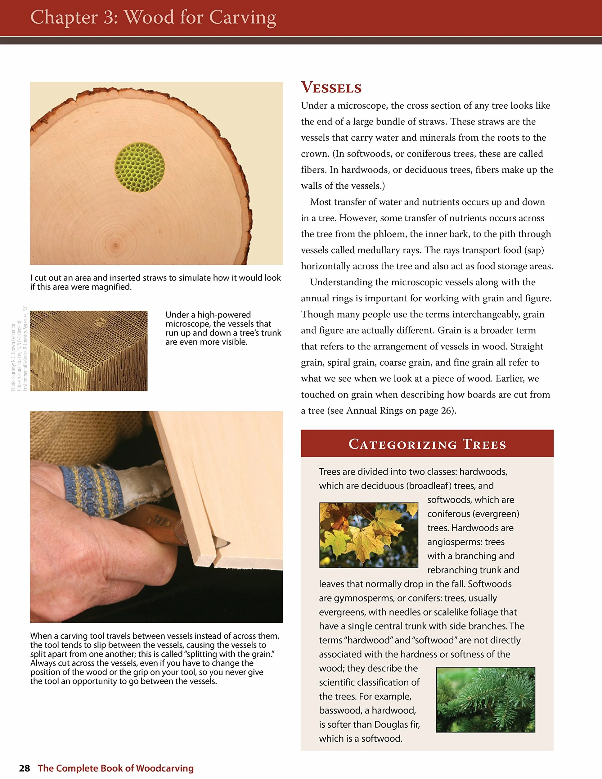 The Complete Book of Woodcarving: Everything You Need to Know to Master the Craft