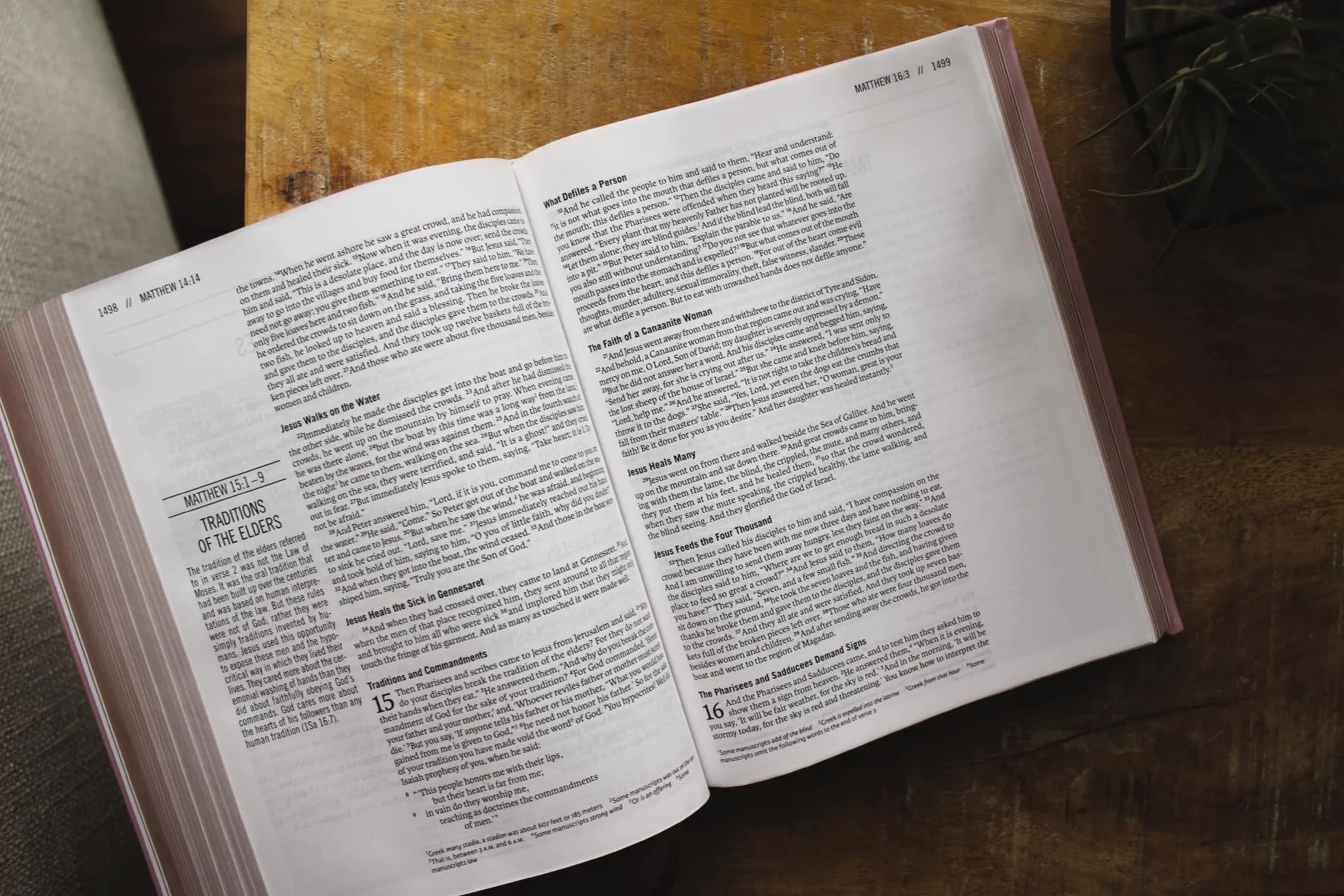 The Jesus Bible: Esv Edition, Leathersoft over Board, Pink