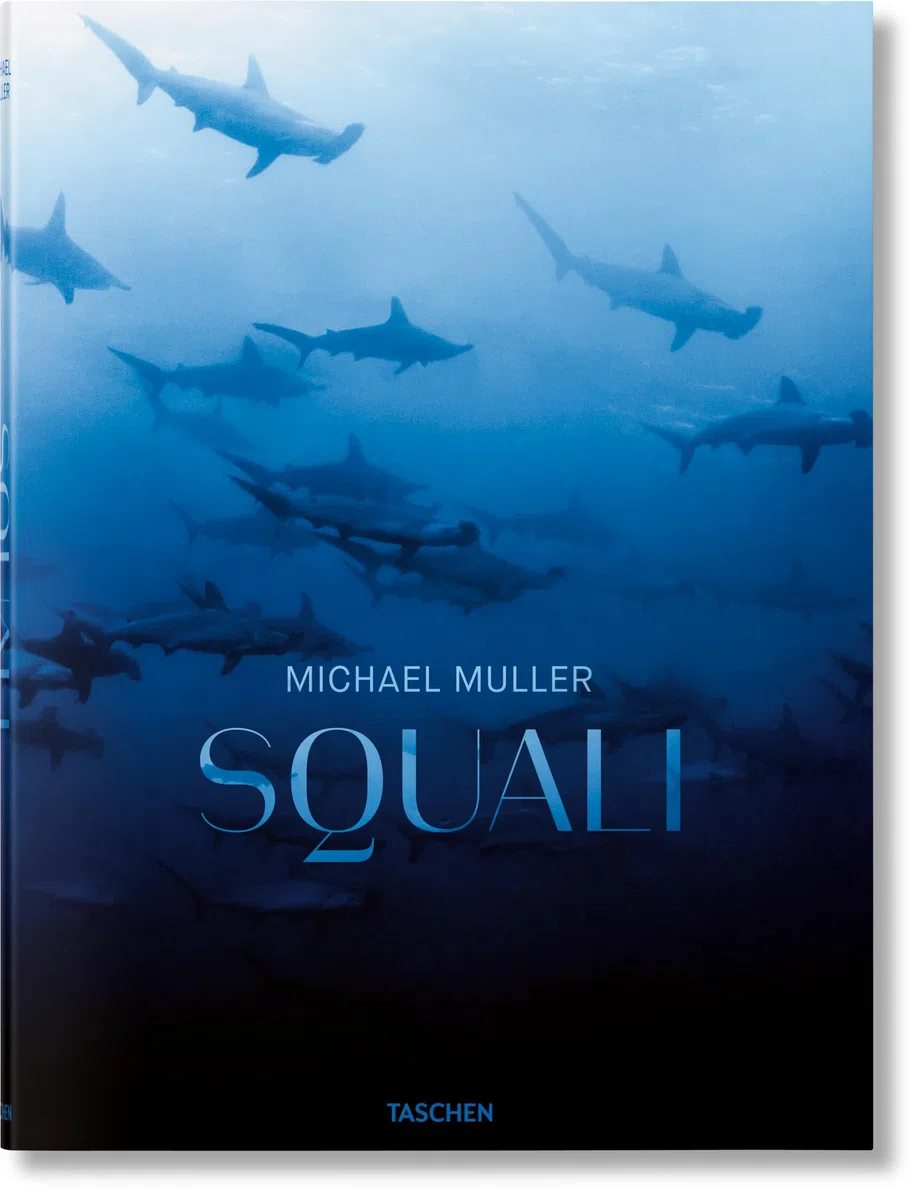 Michael Muller: Squali