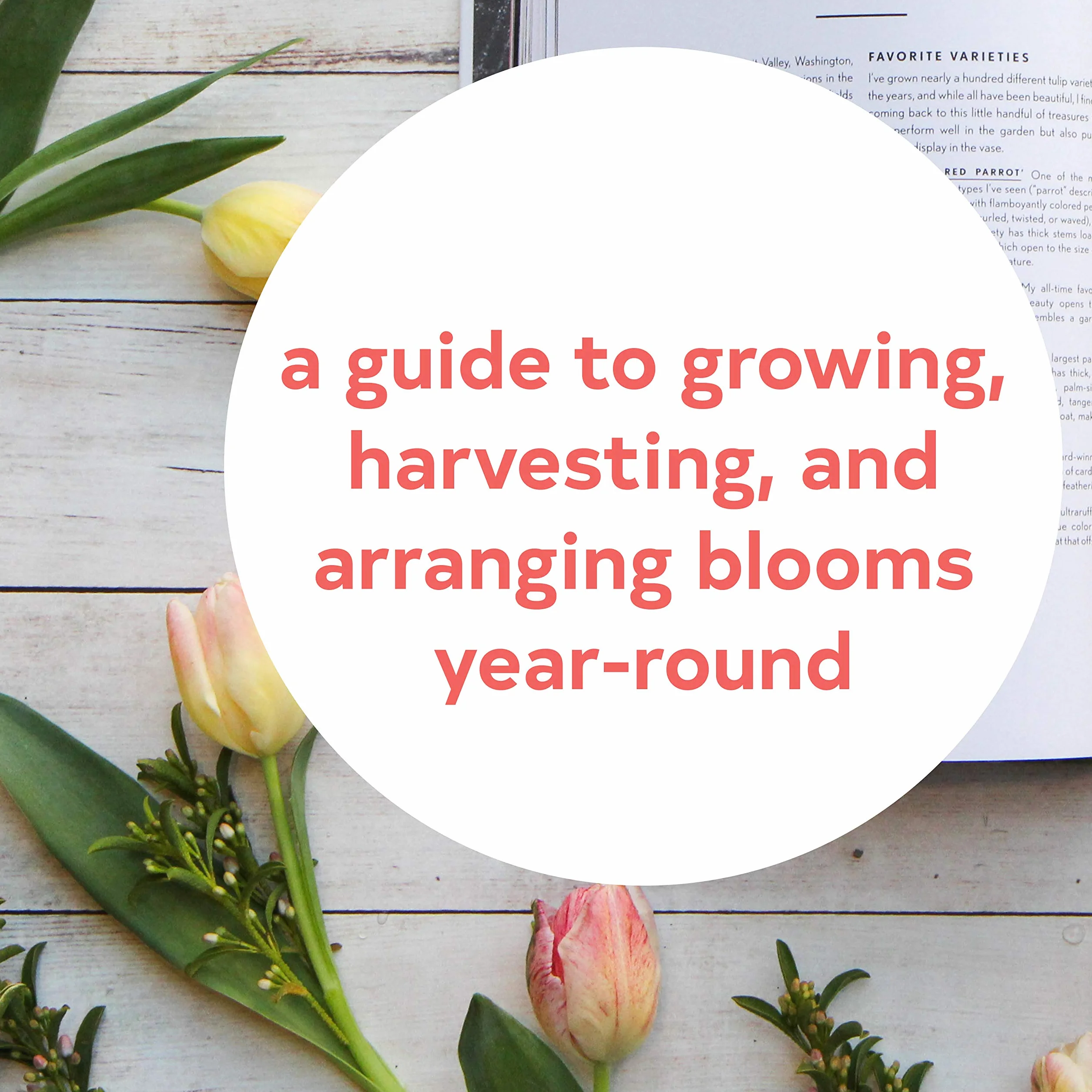 Floret Farm's Cut Flower Garden: Grow, Harvest & Arrange Stunning Seasonal Blooms