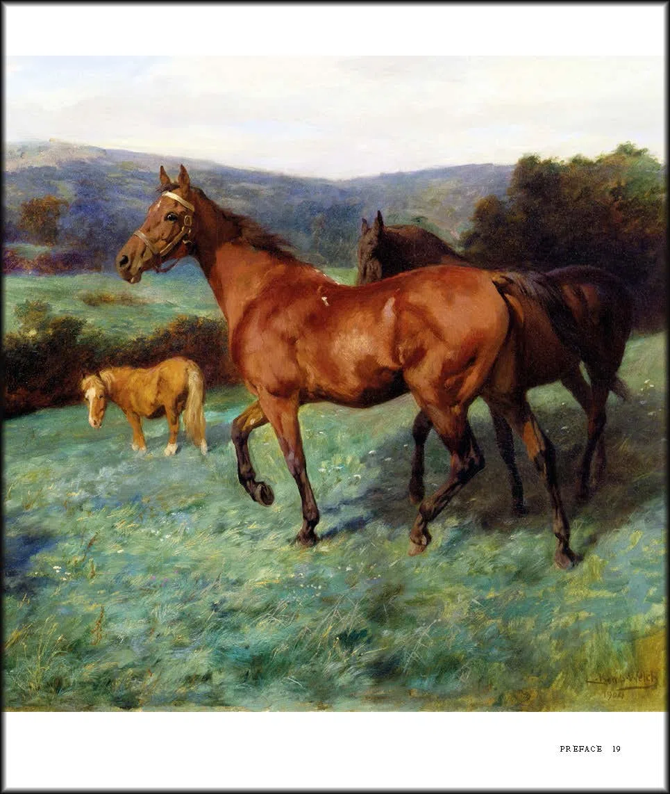 Lucy Kemp-Welch 1869-1958: The Life and Work of Lucy Kemp-welch, Painter of Horses