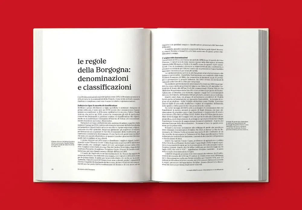 Borgogna. Il libro completo del terroir, dei produttori e dei vini