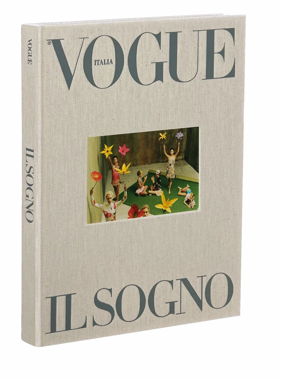 Vogue il sogno. Ediz. a colori