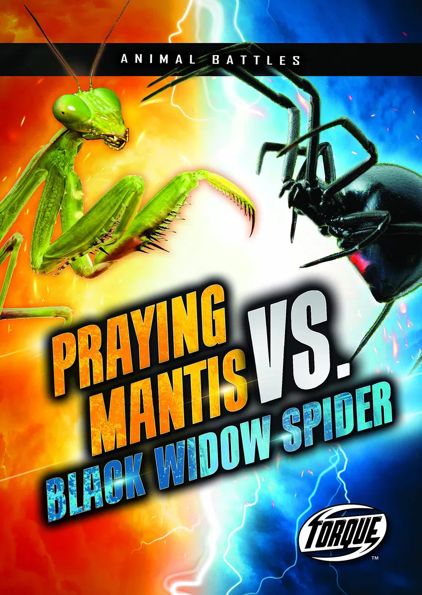 Praying Mantis Vs. Black Widow Spider