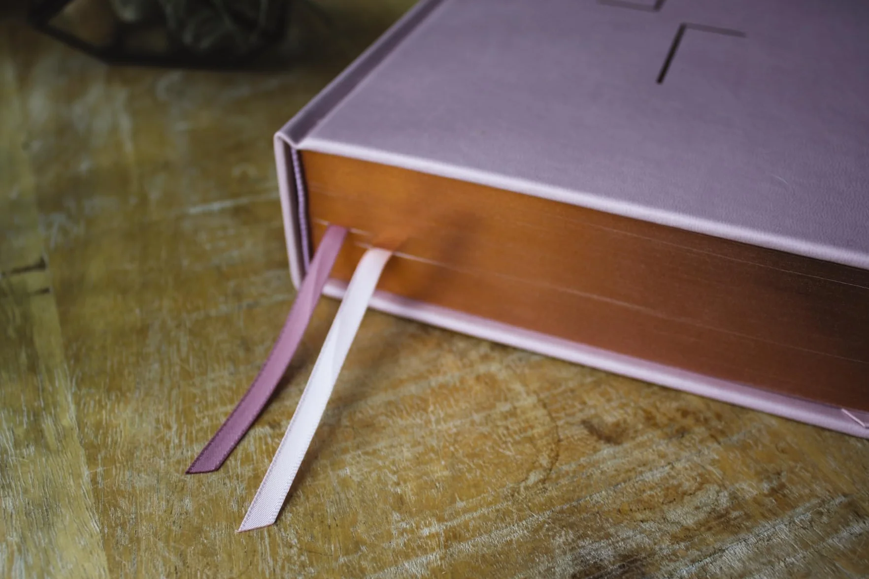 The Jesus Bible: Esv Edition, Leathersoft over Board, Pink