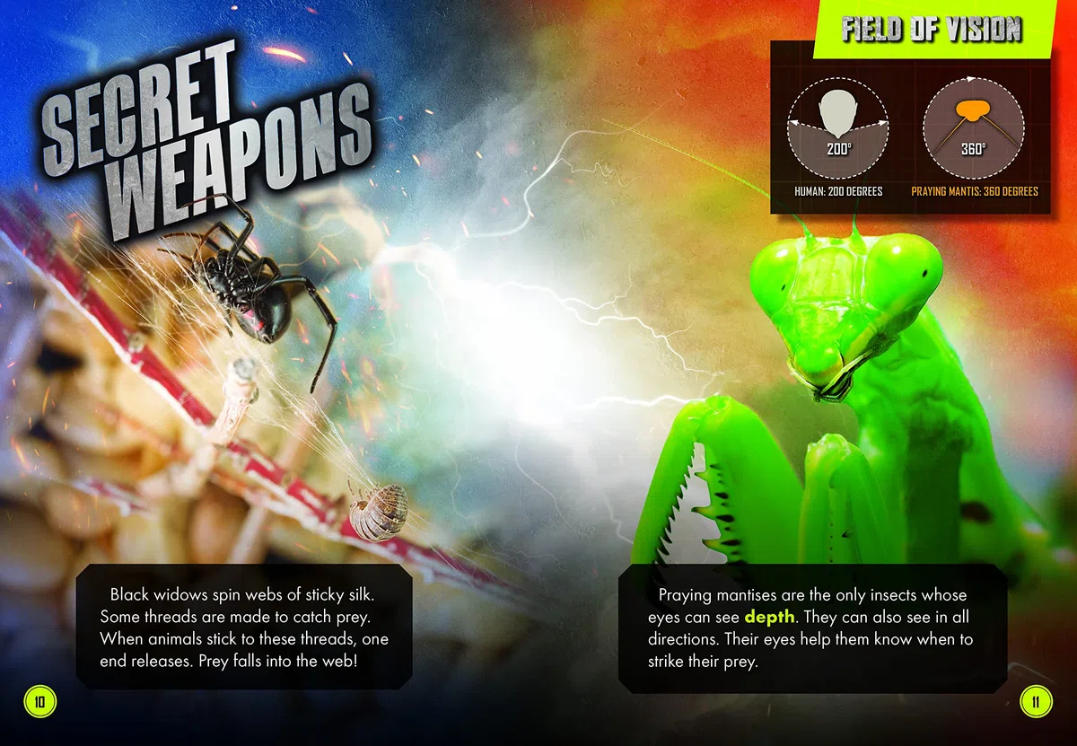 Praying Mantis Vs. Black Widow Spider