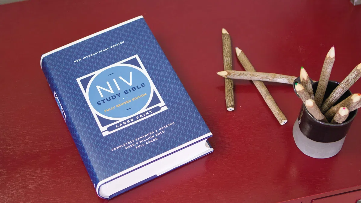 BIB NIV Study Bible: New International Version, Study Bible, Large Print