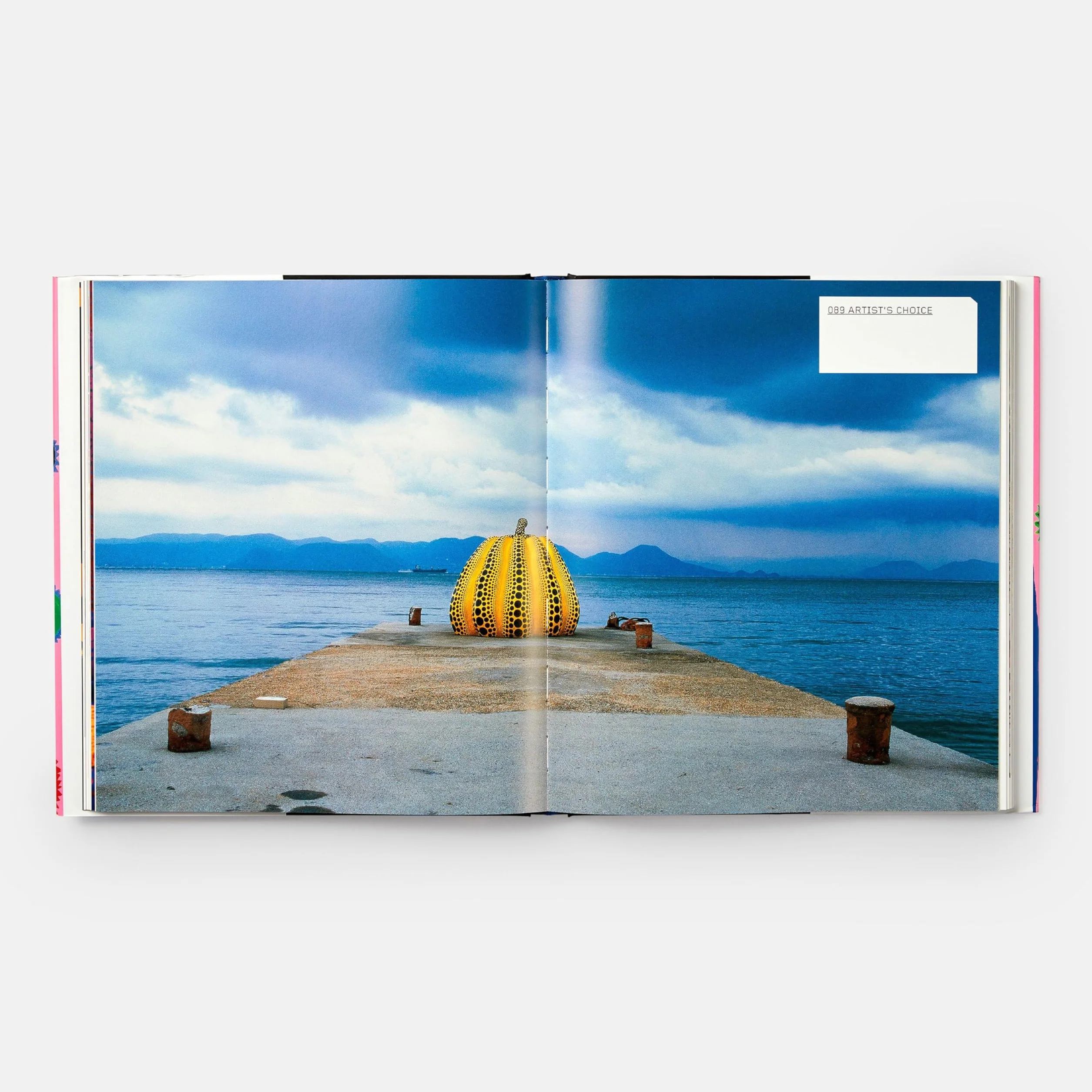 Yayoi Kusama (Revised and Expanded Edition) [Lingua inglese]