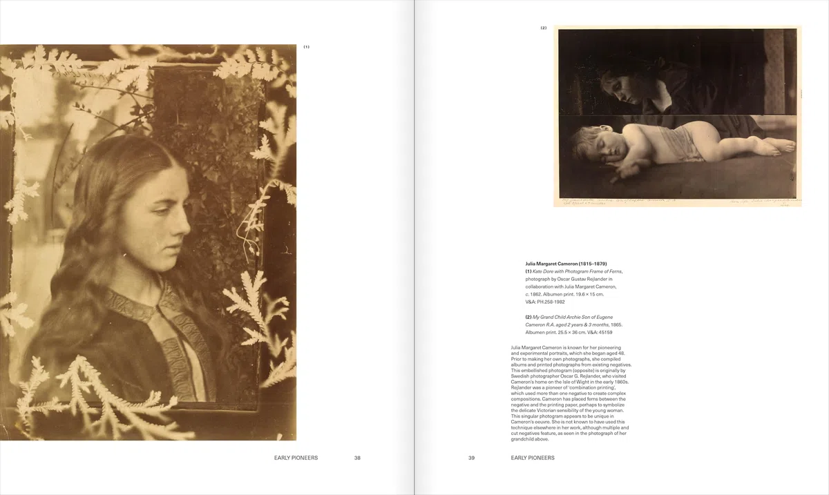 Cut Out: A Feminist History of Photo Collage, Montage and Assemblage