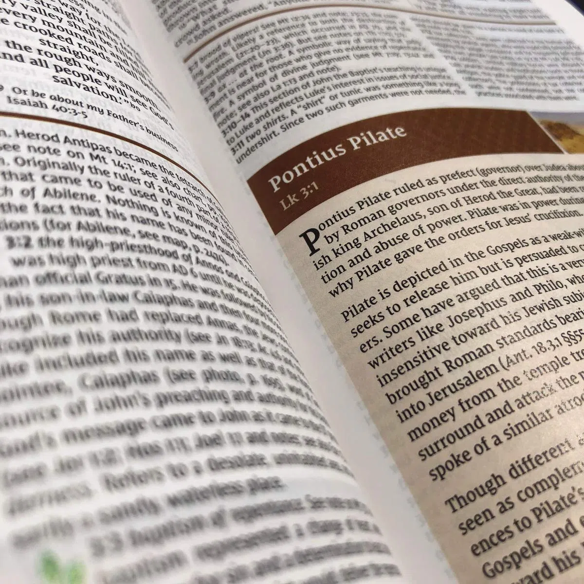 BIB NIV Study Bible: New International Version, Study Bible, Large Print