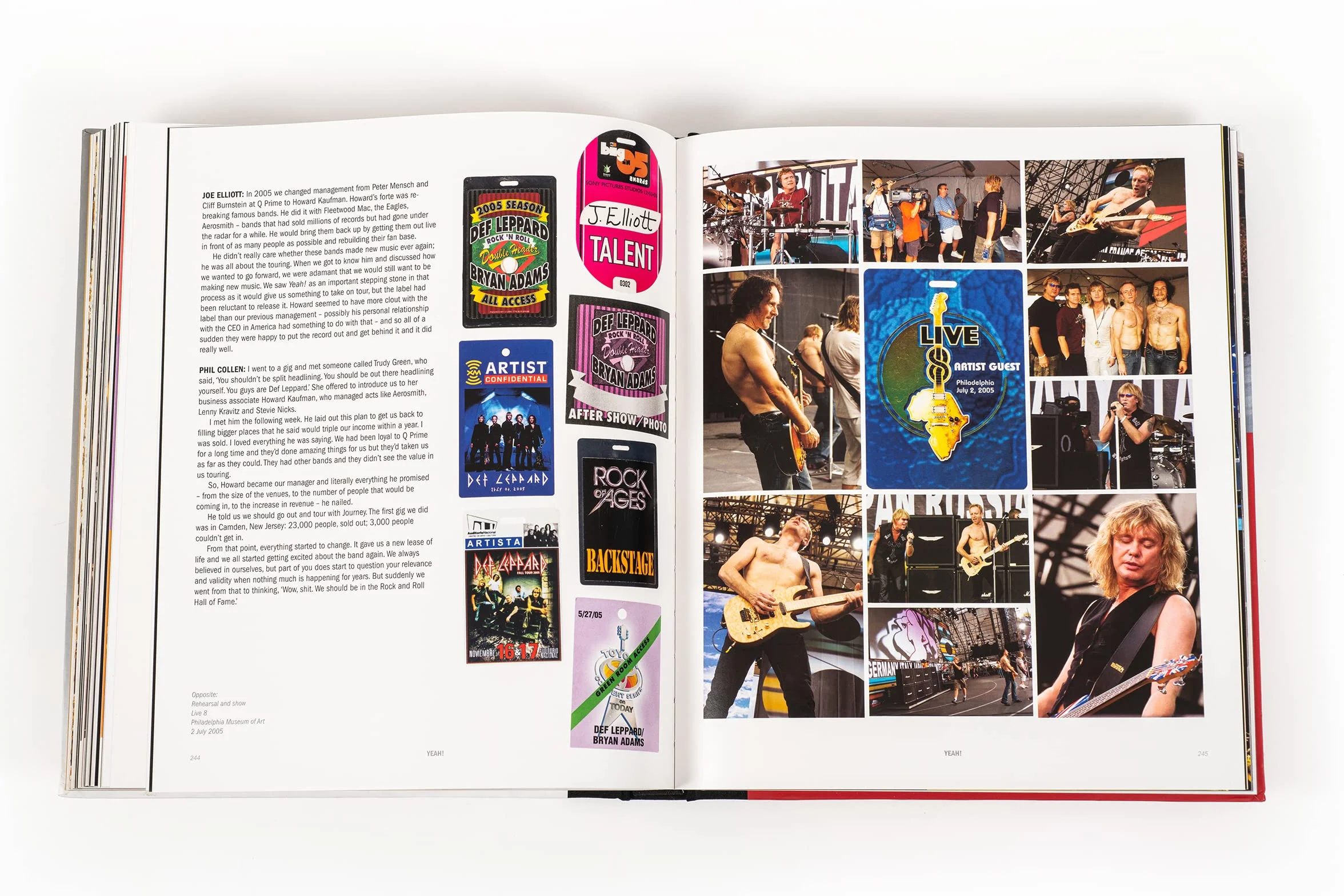 Definitely: The Official Story of Def Leppard (Lingua: Inglese)