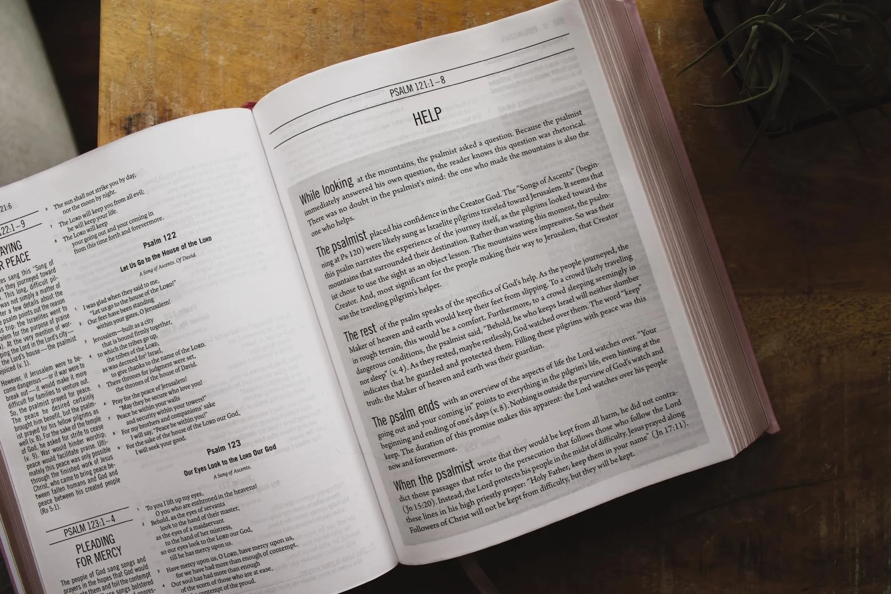 The Jesus Bible: Esv Edition, Leathersoft over Board, Pink