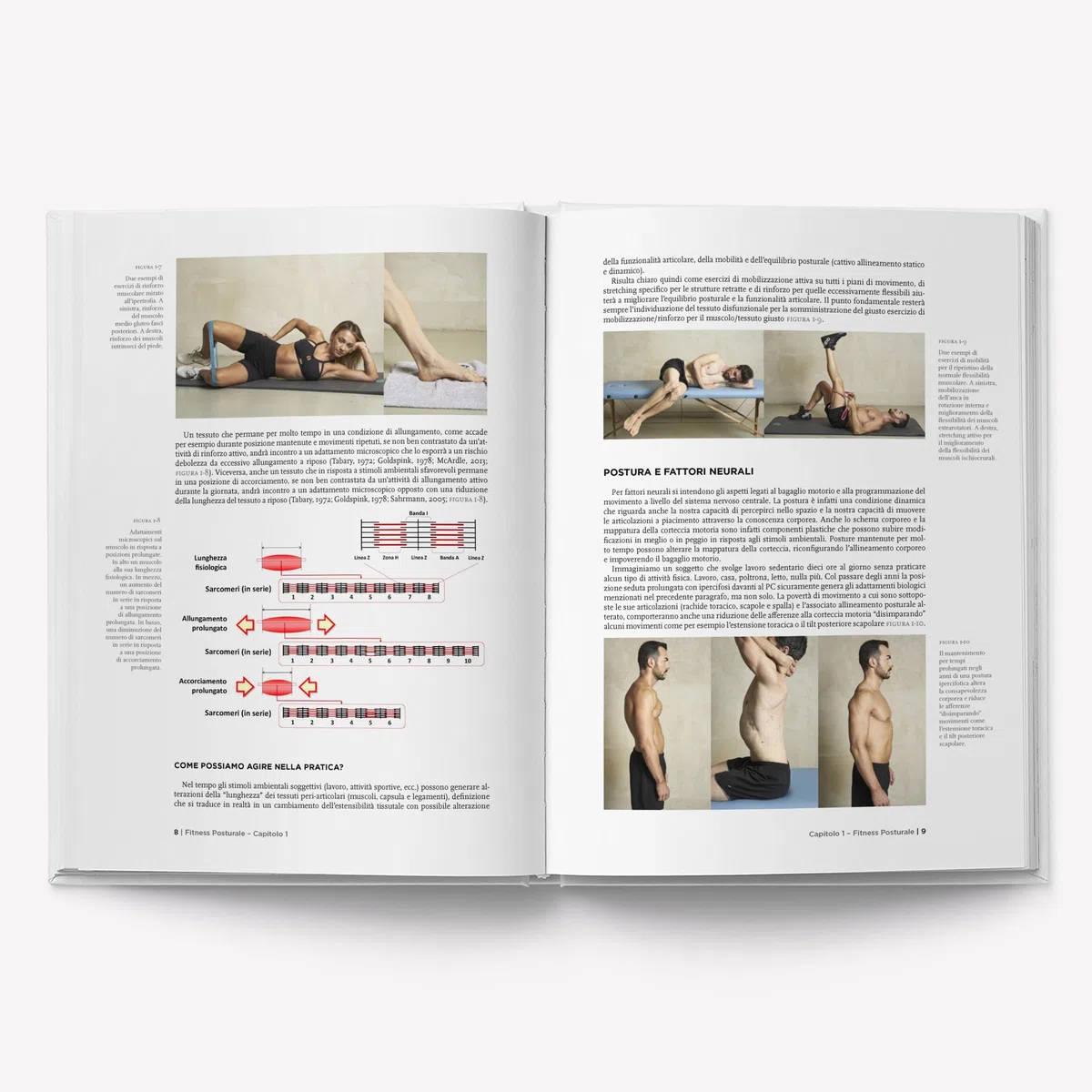 Fitness posturale. Valutazione, postura e dolore (Vol. 2)