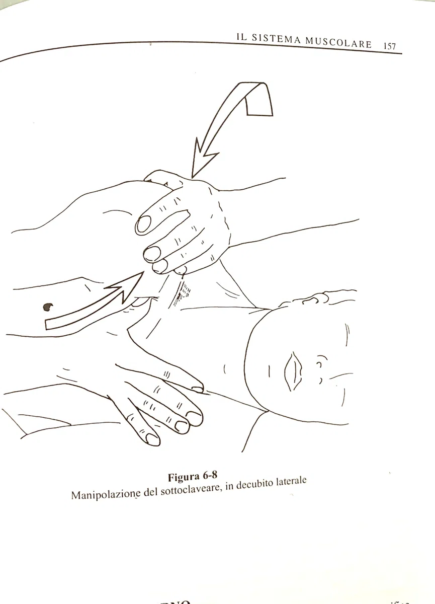 Il torace | Manuale specialistico di osteopatia dedicato alla valutazione e al trattamento del torace
