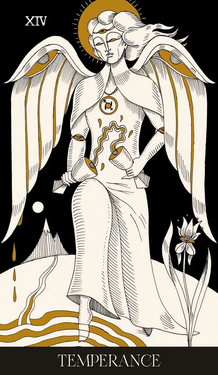 Symbolic soul tarot. Ediz. multilingue