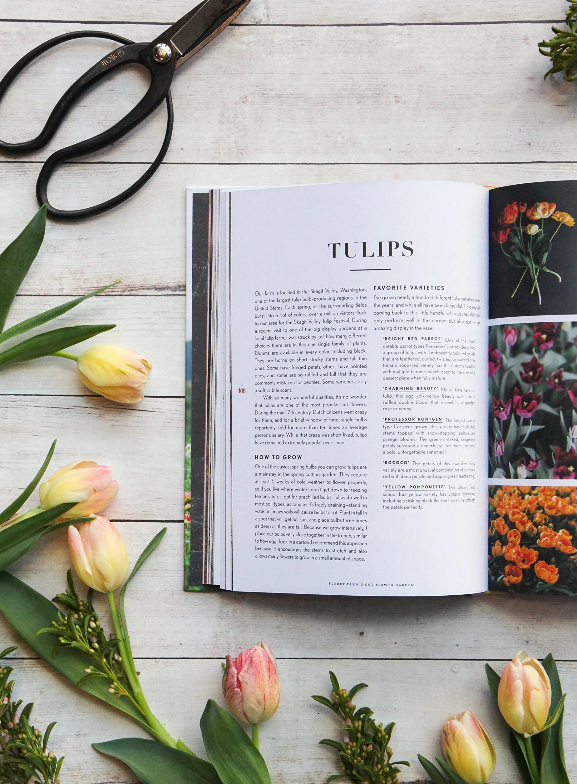 Floret Farm's Cut Flower Garden: Grow, Harvest & Arrange Stunning Seasonal Blooms