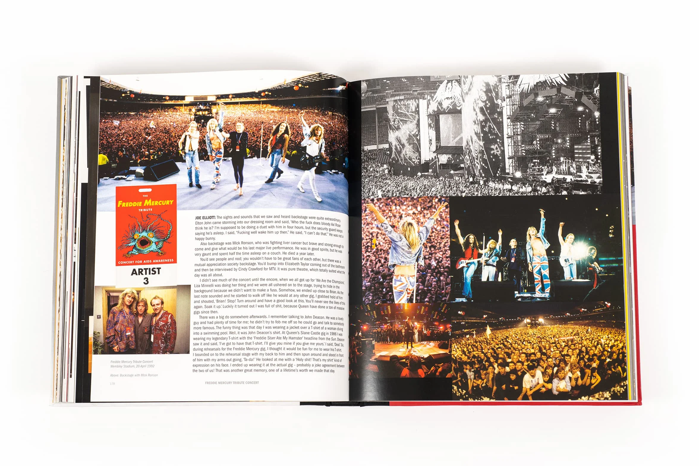Definitely: The Official Story of Def Leppard (Lingua: Inglese)