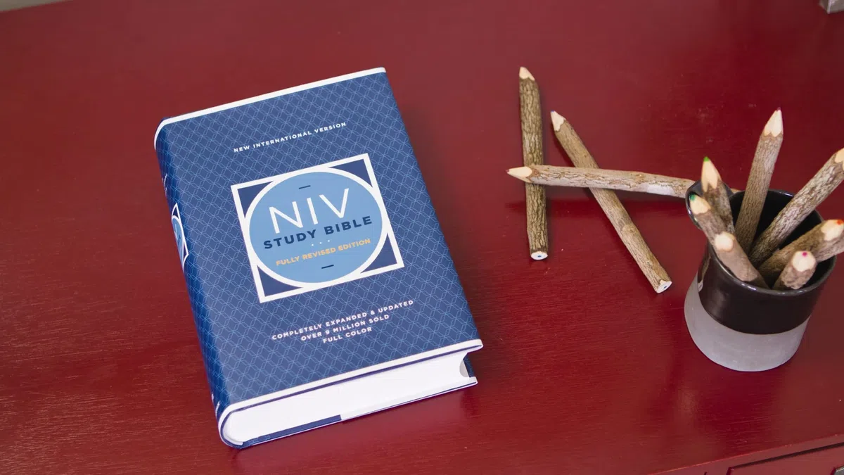 Holy Bible: New International Version, Study Bible