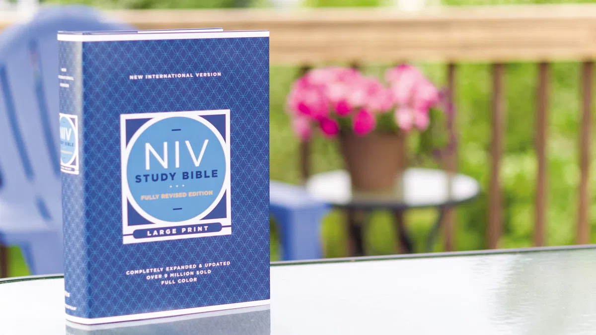 BIB NIV Study Bible: New International Version, Study Bible, Large Print