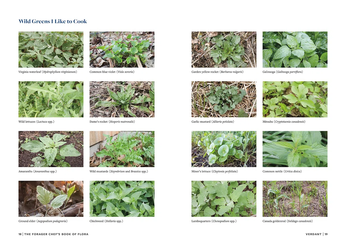 The Forager Chef's Book of Flora: Recipes and Techniques for Edible Plants from Garden, Field, and Forest
