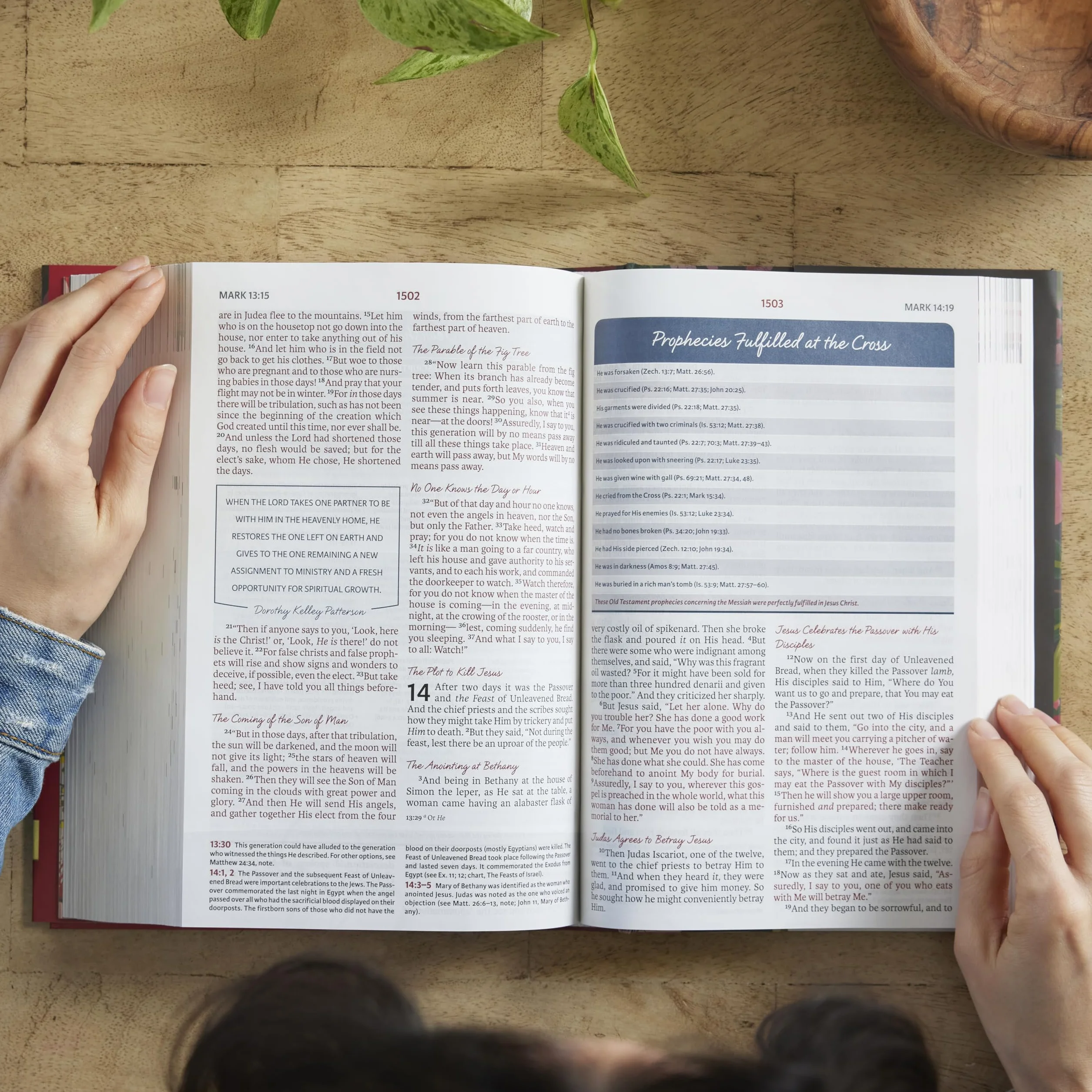 NKJV, The Woman's Study Bible, Cloth over Board, Pink Floral, Red Letter, Full-Color Edition: Receiving God's Truth for Balance, Hope, and Transformation