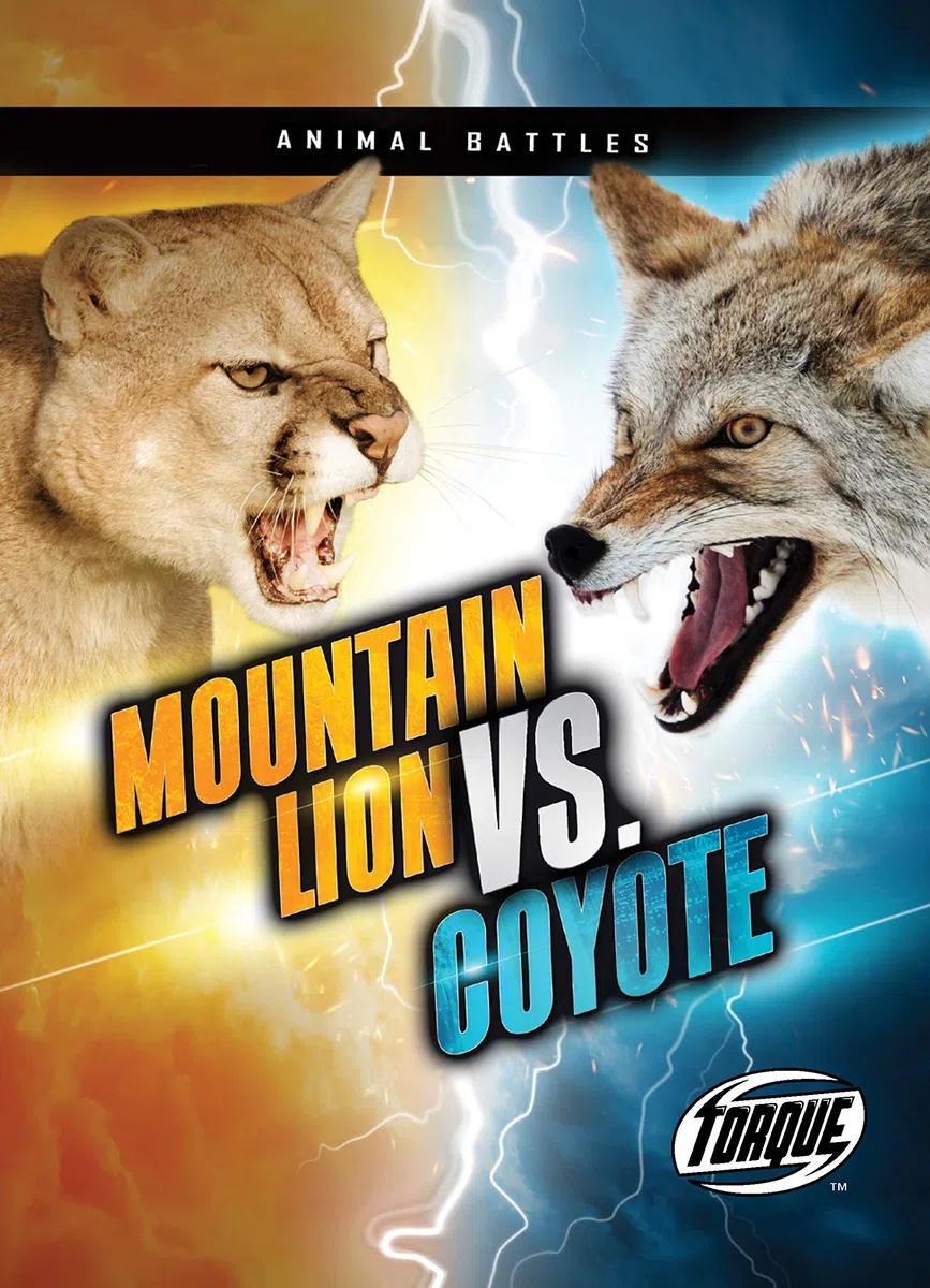 Mountain Lion Vs. Coyote
