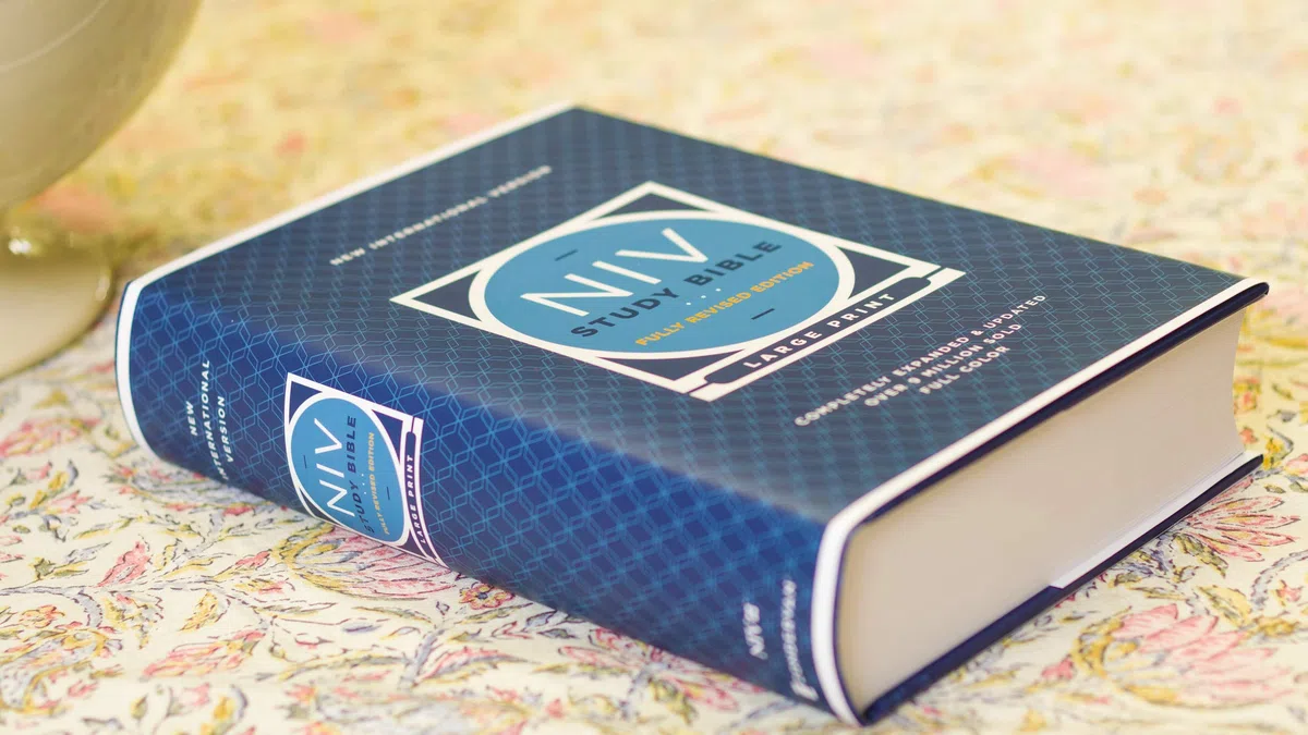 BIB NIV Study Bible: New International Version, Study Bible, Large Print