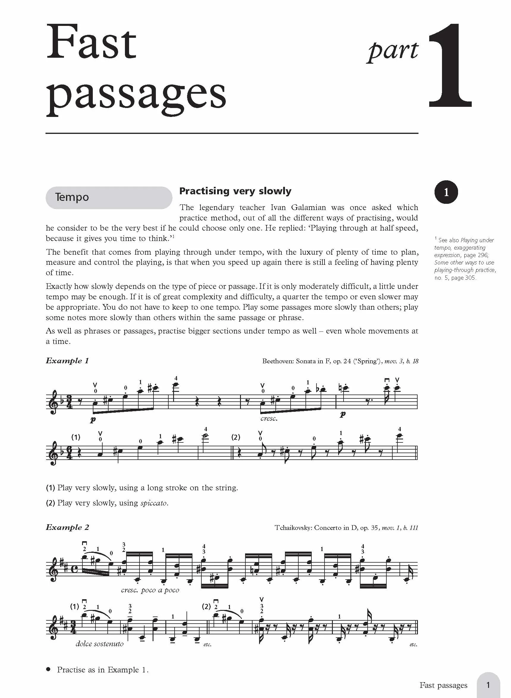 Practice: 250 Step-by-Step Practice Methods for the Violin