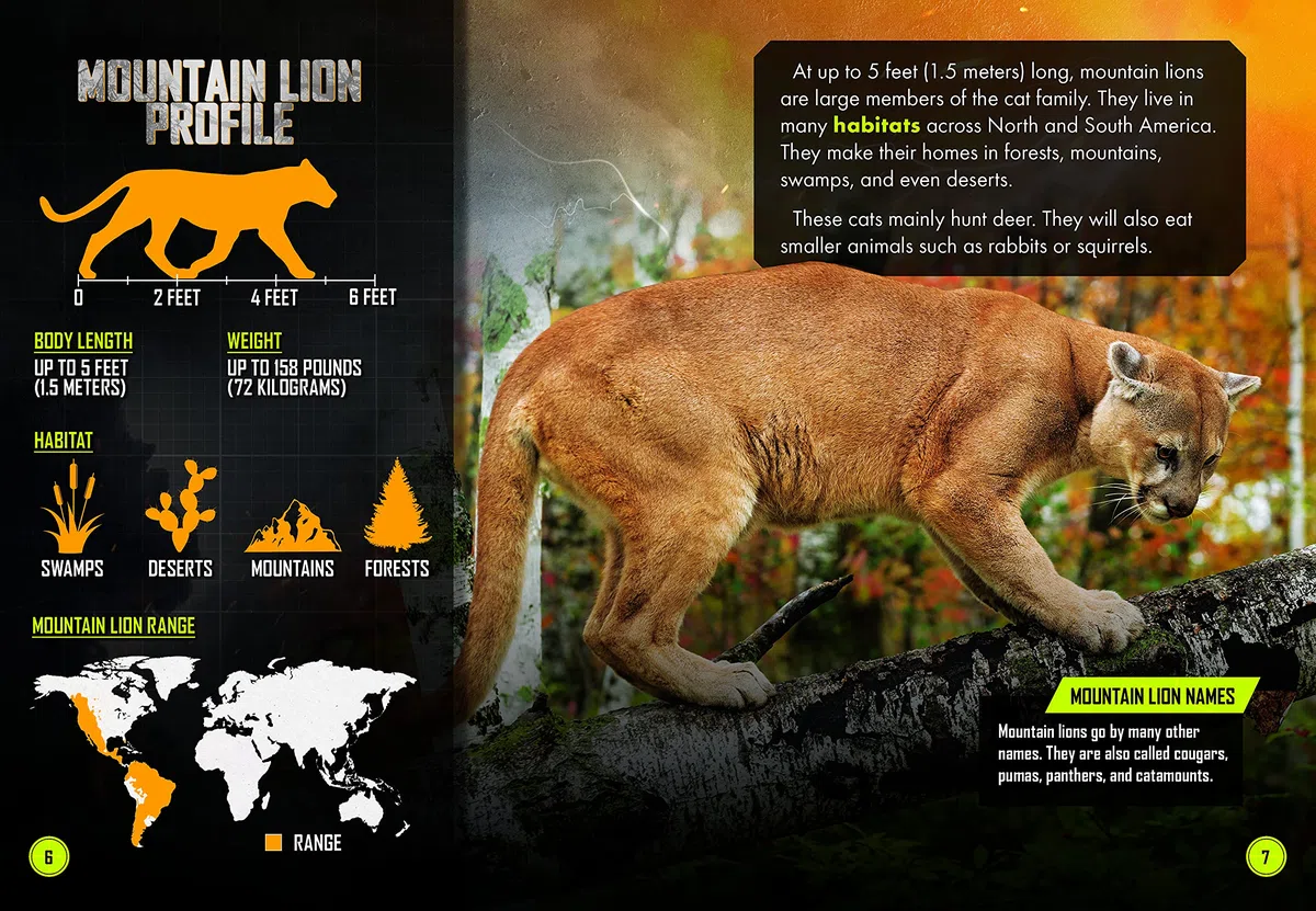 Mountain Lion Vs. Coyote