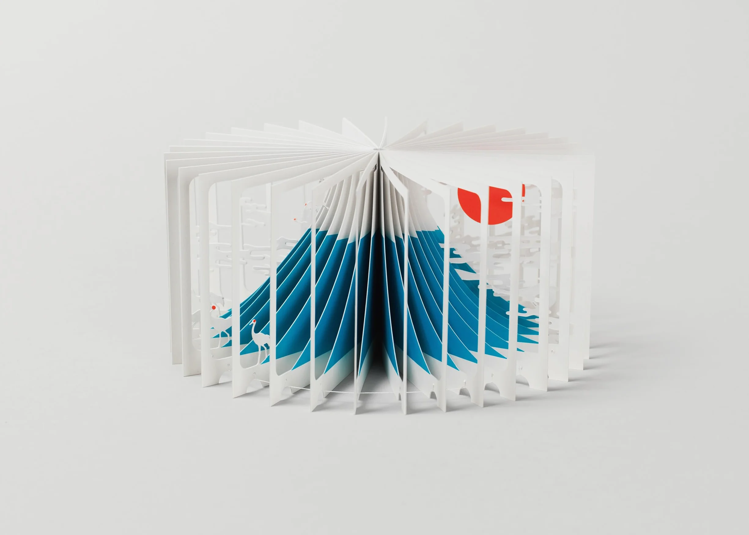 Mount Fuji 360 Book - Yusuke Oono