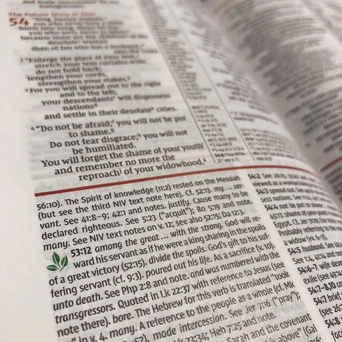 Holy Bible: New International Version, Study Bible